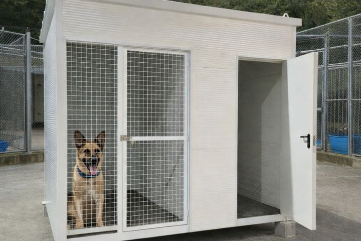 Estructura modular para tránsito y bienestar animal